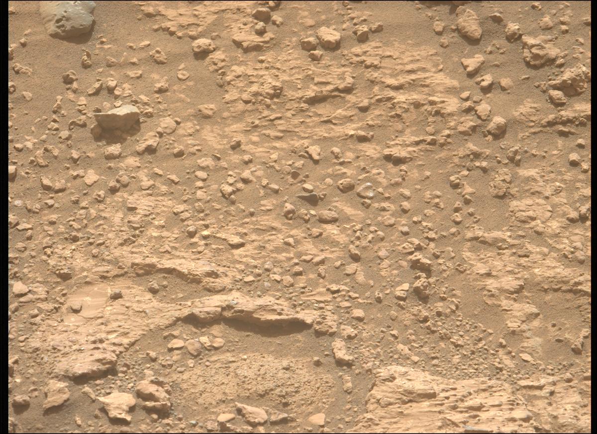 This image was taken by MCZ_LEFT onboard NASA's Mars rover Perseverance on Sol 1228