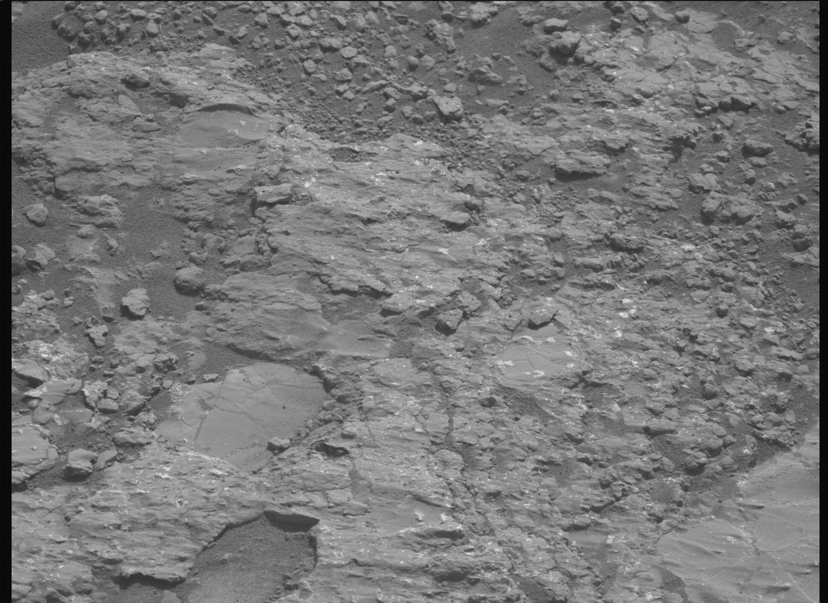 This image was taken by MCZ_LEFT onboard NASA's Mars rover Perseverance on Sol 1228