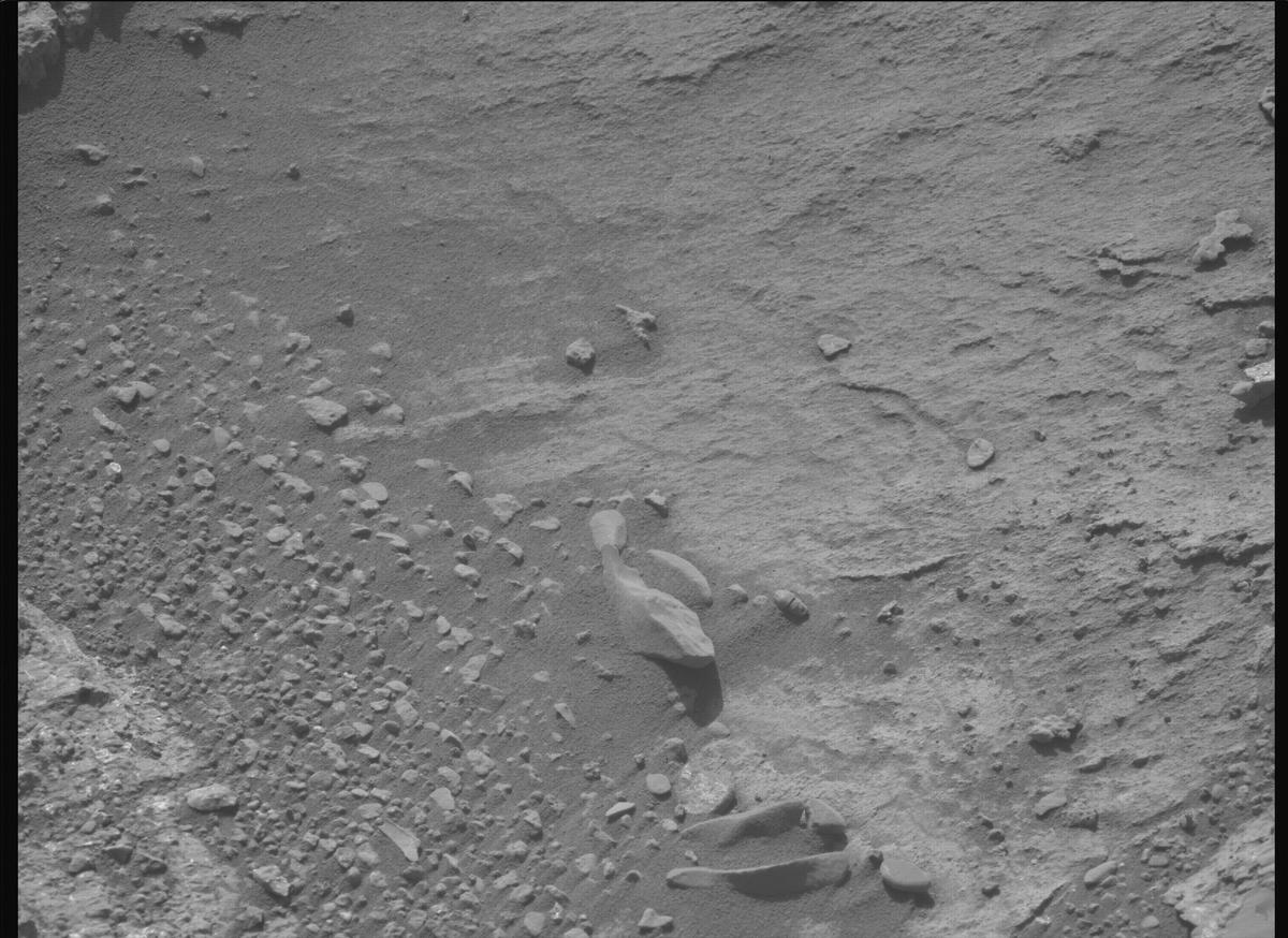 This image was taken by MCZ_LEFT onboard NASA's Mars rover Perseverance on Sol 1228