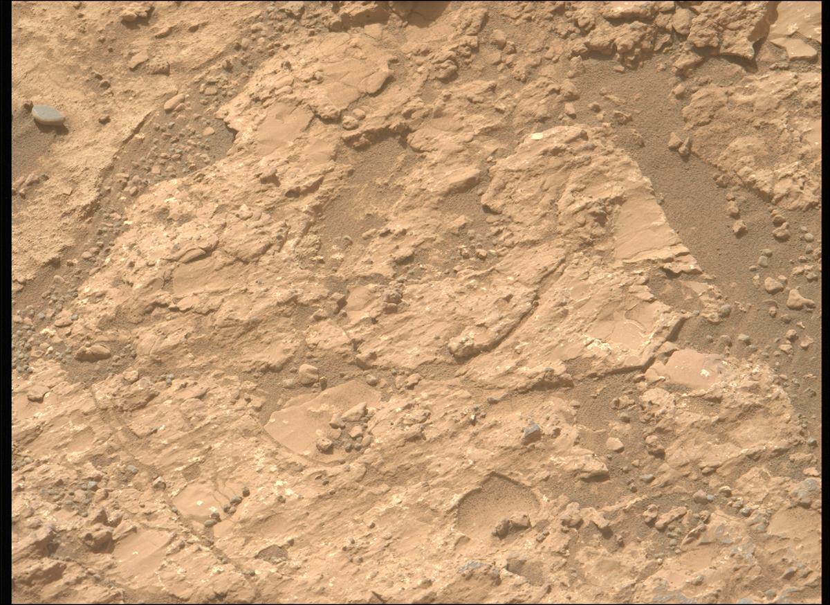 This image was taken by MCZ_LEFT onboard NASA's Mars rover Perseverance on Sol 1228