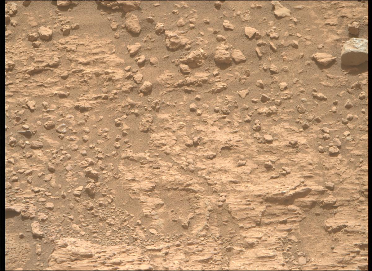 This image was taken by MCZ_RIGHT onboard NASA's Mars rover Perseverance on Sol 1228
