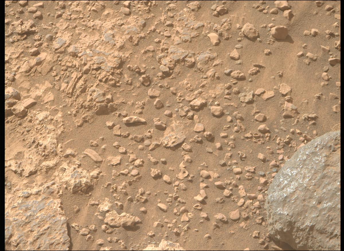 This image was taken by MCZ_RIGHT onboard NASA's Mars rover Perseverance on Sol 1228