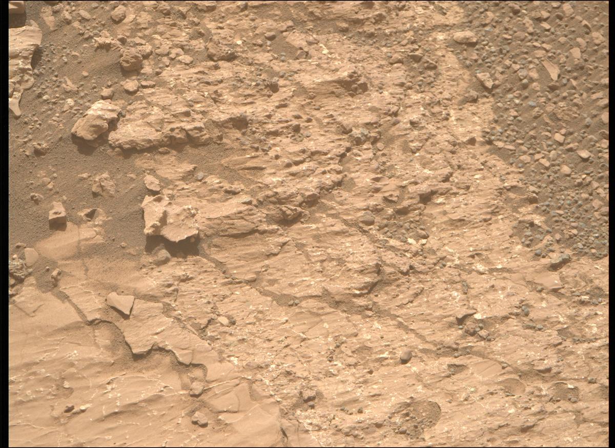 This image was taken by MCZ_RIGHT onboard NASA's Mars rover Perseverance on Sol 1228