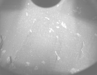 View image taken on Mars, Mars Perseverance Sol 1229: PIXL Camera 