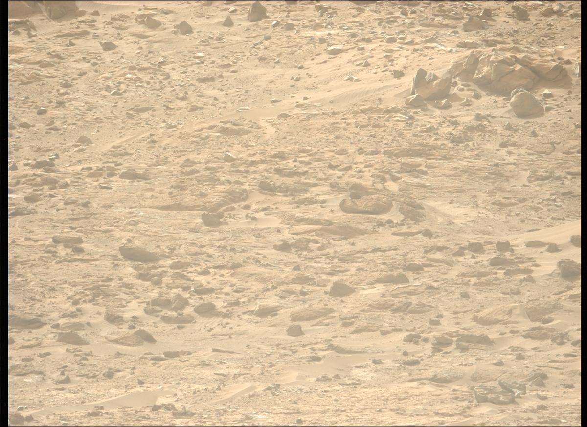 This image was taken by MCZ_LEFT onboard NASA's Mars rover Perseverance on Sol 1229