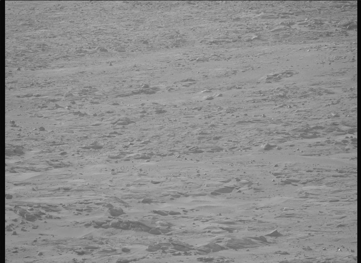 This image was taken by MCZ_LEFT onboard NASA's Mars rover Perseverance on Sol 1229