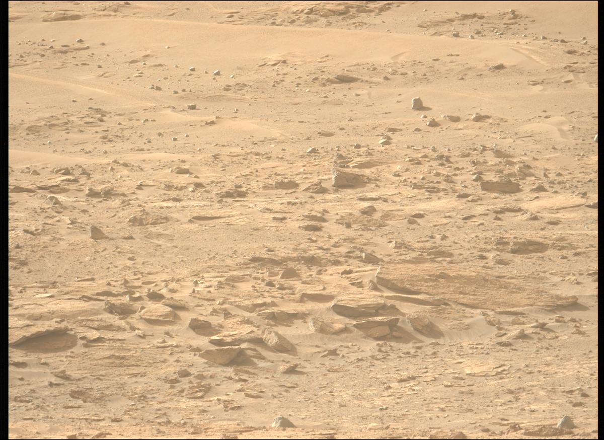 This image was taken by MCZ_LEFT onboard NASA's Mars rover Perseverance on Sol 1229