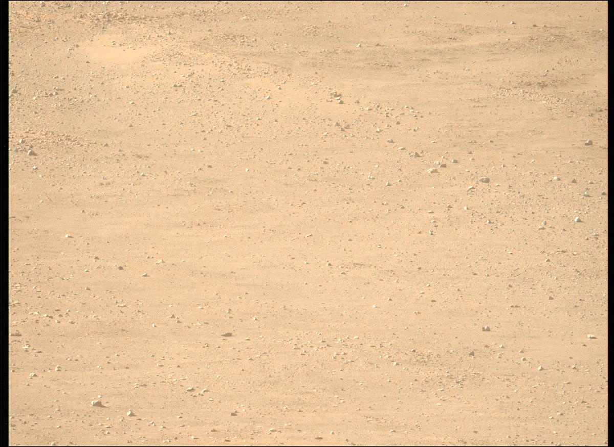 This image was taken by MCZ_LEFT onboard NASA's Mars rover Perseverance on Sol 1229