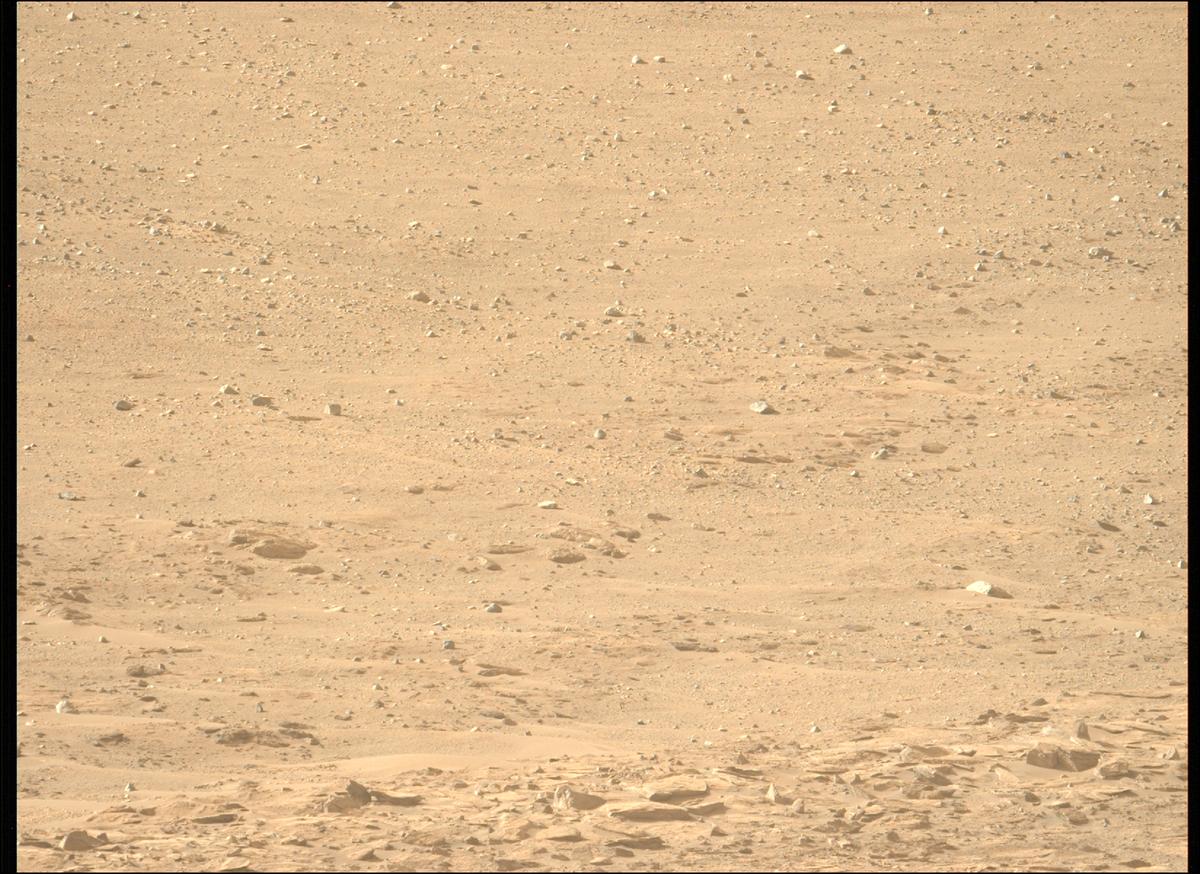 This image was taken by MCZ_LEFT onboard NASA's Mars rover Perseverance on Sol 1229