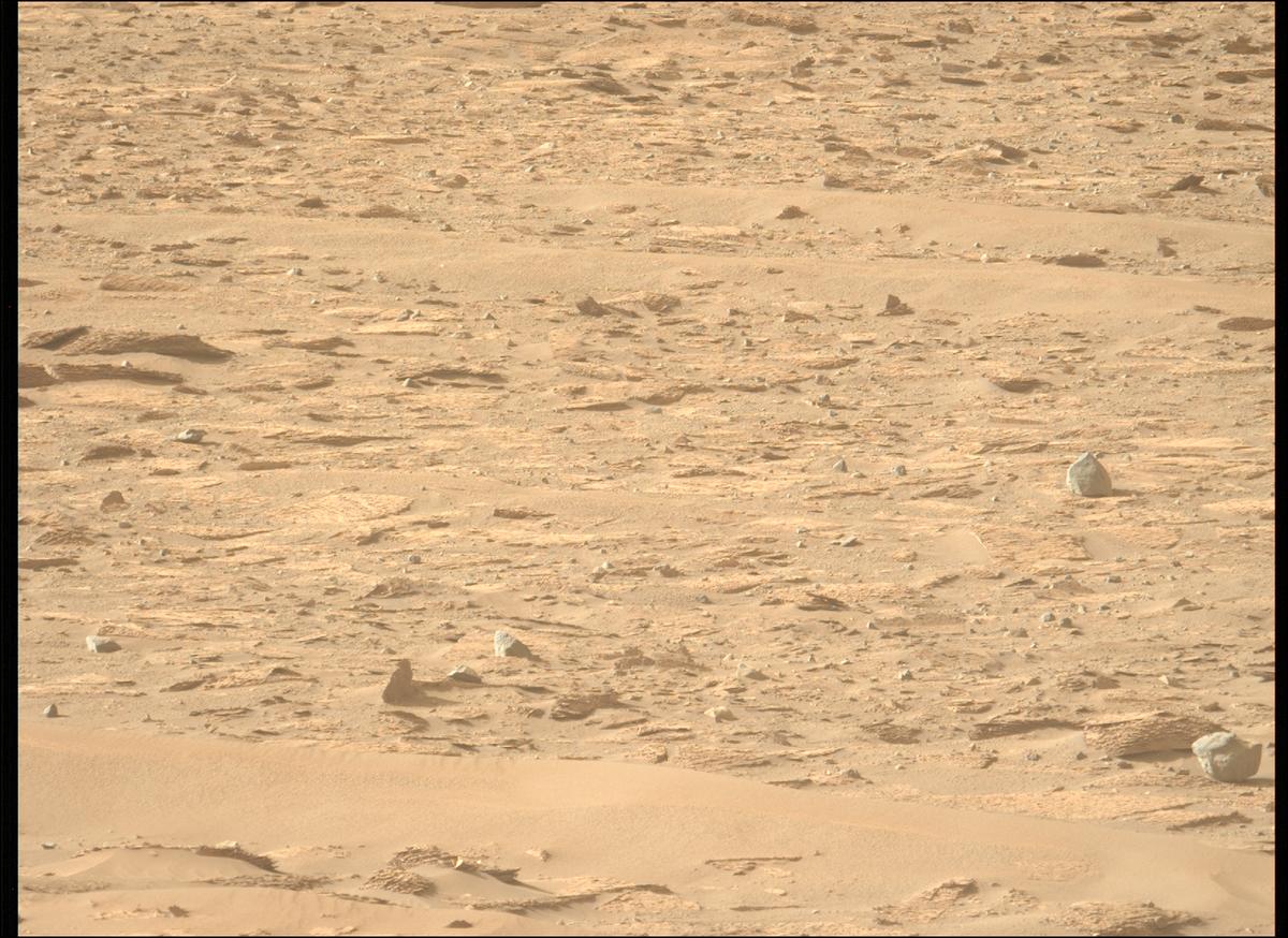 This image was taken by MCZ_LEFT onboard NASA's Mars rover Perseverance on Sol 1229