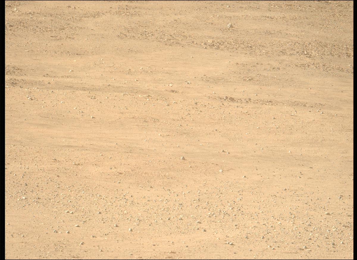 This image was taken by MCZ_LEFT onboard NASA's Mars rover Perseverance on Sol 1229