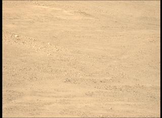 View image taken on Mars, Mars Perseverance Sol 1229: Left Mastcam-Z Camera