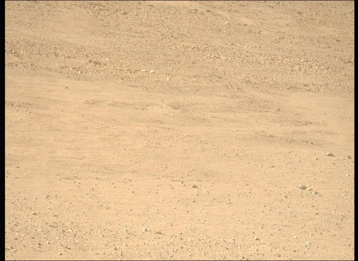 This image was taken by MCZ_LEFT onboard NASA's Mars rover Perseverance on Sol 1229