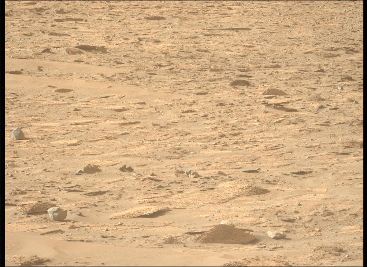 This image was taken by MCZ_LEFT onboard NASA's Mars rover Perseverance on Sol 1229