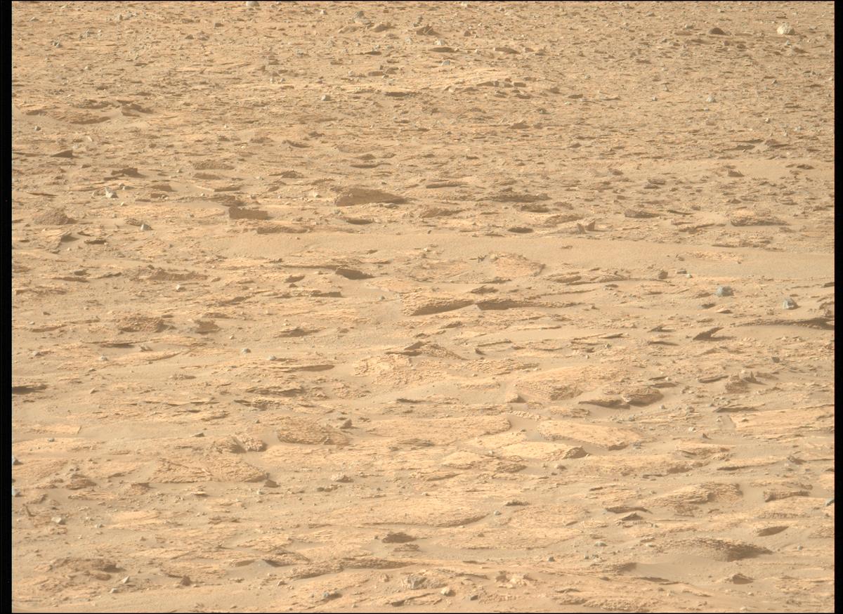 This image was taken by MCZ_LEFT onboard NASA's Mars rover Perseverance on Sol 1229