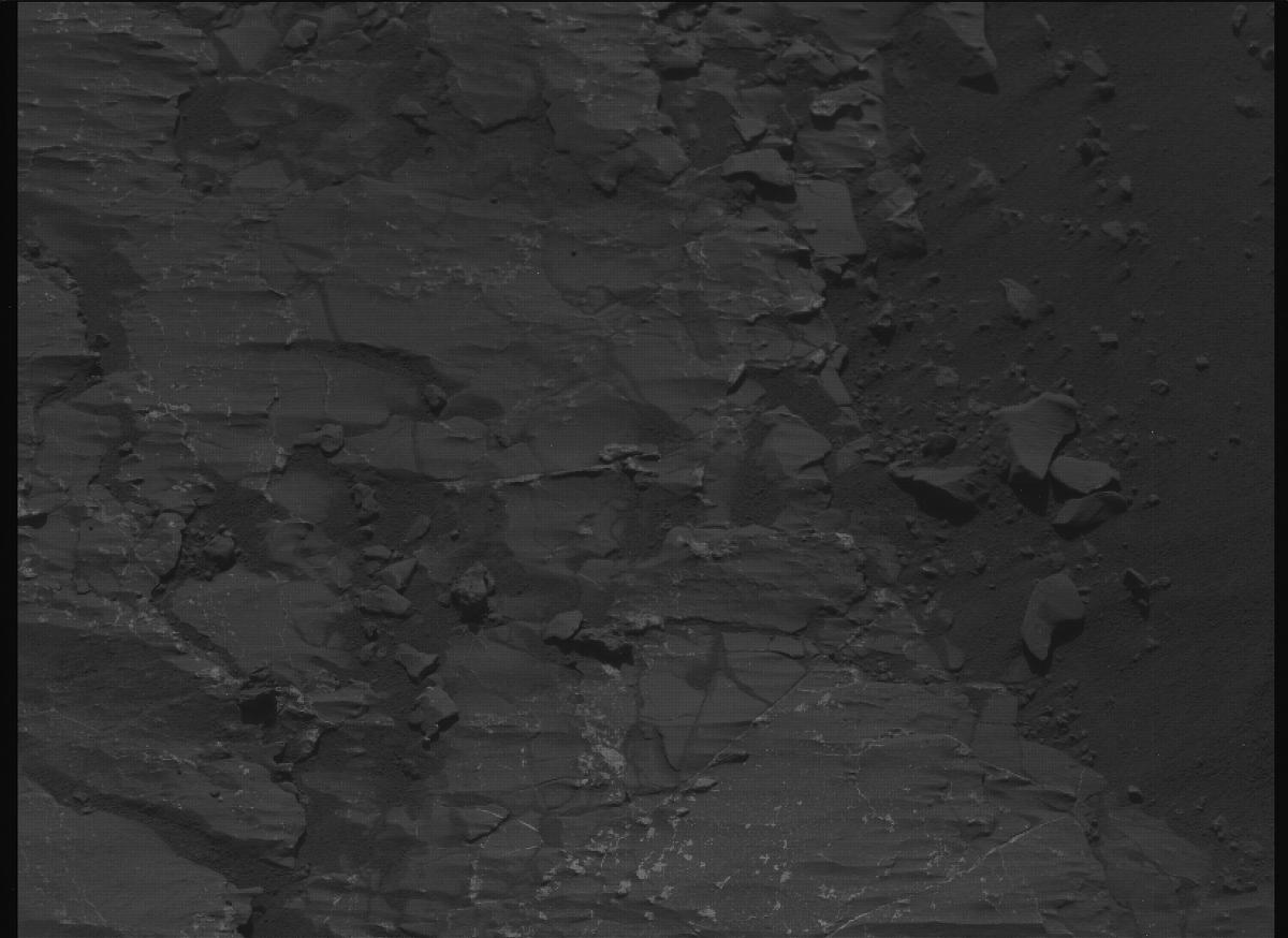 This image was taken by MCZ_LEFT onboard NASA's Mars rover Perseverance on Sol 1229