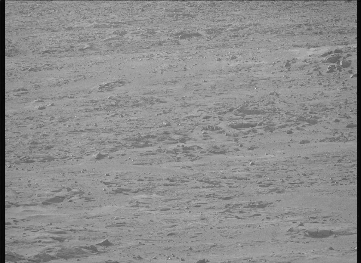 This image was taken by MCZ_RIGHT onboard NASA's Mars rover Perseverance on Sol 1229