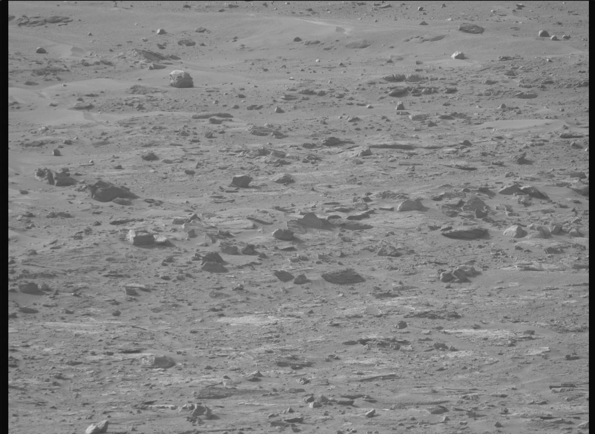 This image was taken by MCZ_RIGHT onboard NASA's Mars rover Perseverance on Sol 1229