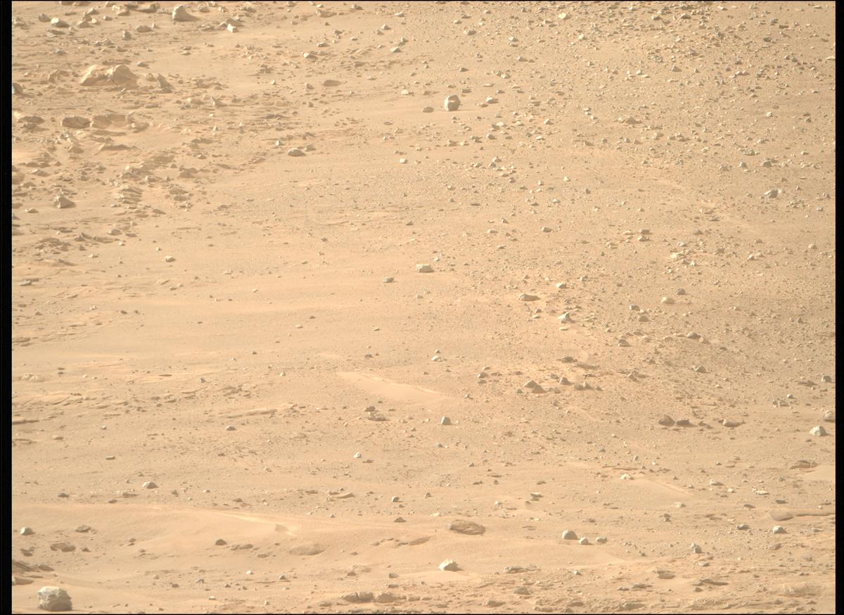 This image was taken by MCZ_RIGHT onboard NASA's Mars rover Perseverance on Sol 1229