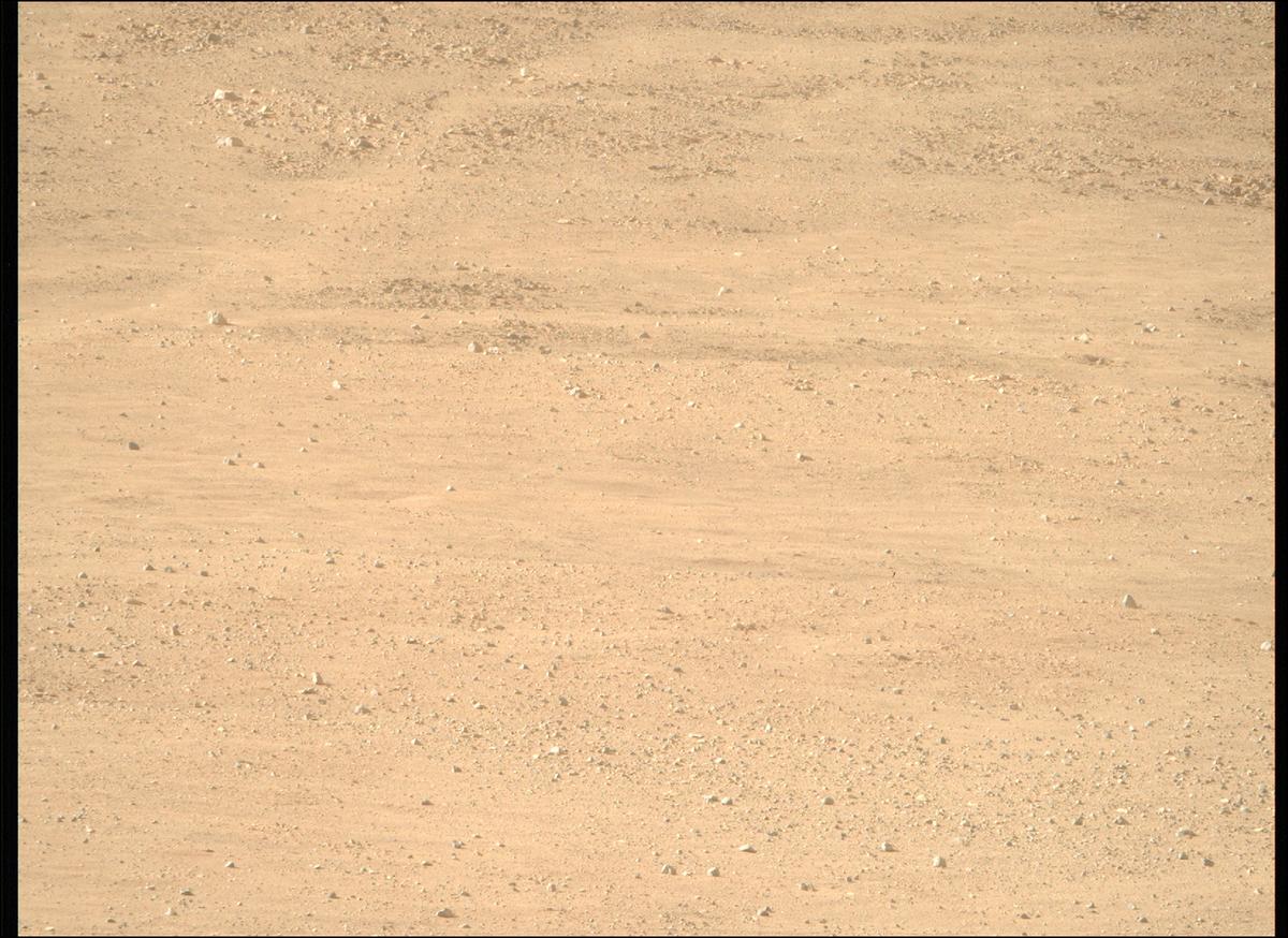 This image was taken by MCZ_RIGHT onboard NASA's Mars rover Perseverance on Sol 1229