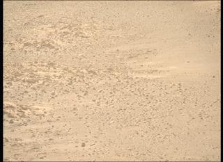 View image taken on Mars, Mars Perseverance Sol 1229: Right Mastcam-Z Camera