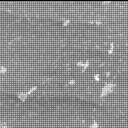 This image was taken by MCZ_RIGHT onboard NASA's Mars rover Perseverance on Sol 1229