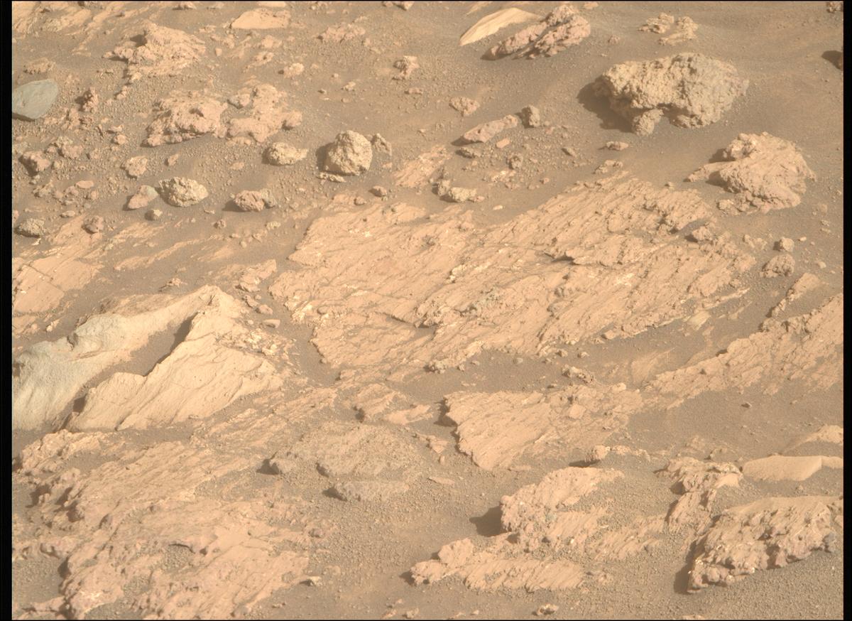 This image was taken by MCZ_RIGHT onboard NASA's Mars rover Perseverance on Sol 1231