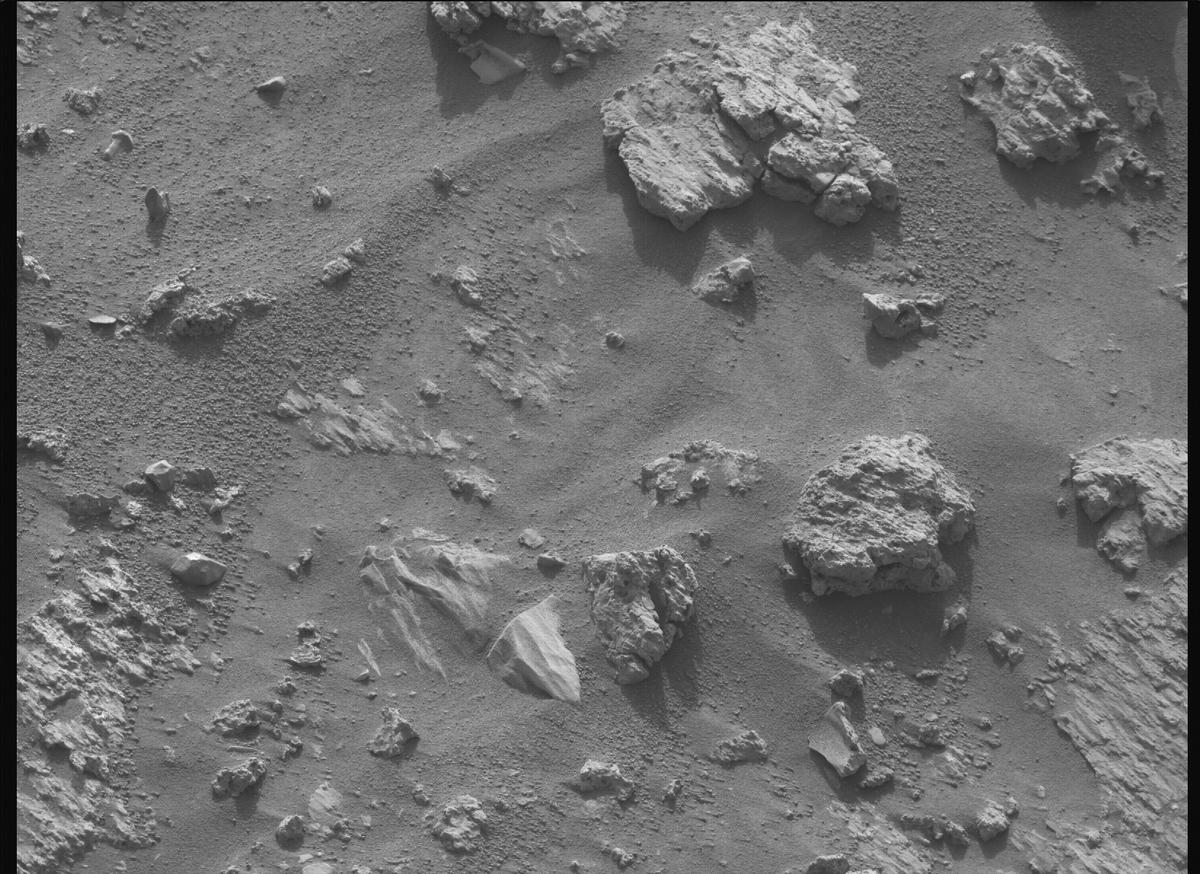 This image was taken by MCZ_RIGHT onboard NASA's Mars rover Perseverance on Sol 1232