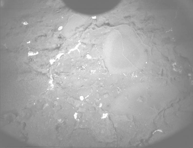 This image was taken by PIXL_MCC onboard NASA's Mars rover Perseverance on Sol 1233