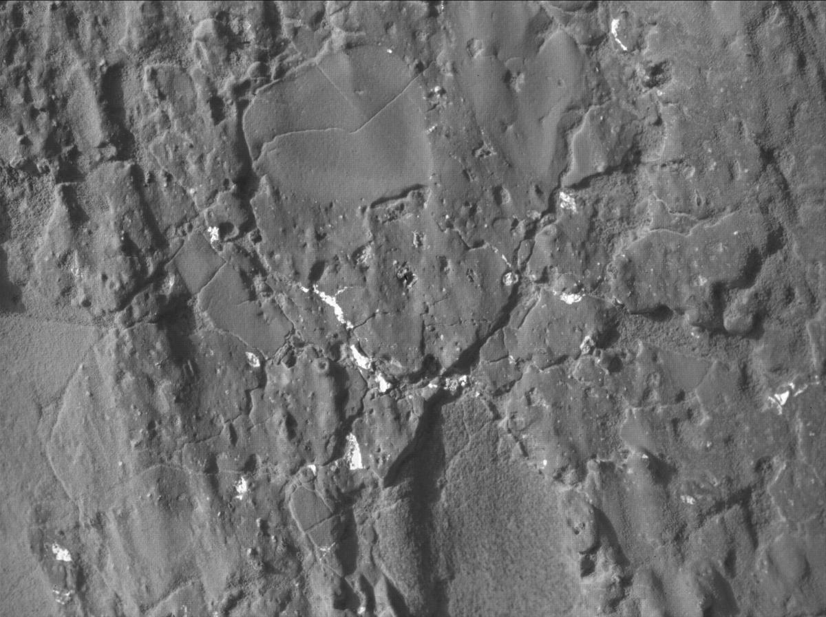 This image was taken by SHERLOC_WATSON onboard NASA's Mars rover Perseverance on Sol 1233