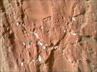 View image taken on Mars, Mars Perseverance Sol 1233: WATSON Camera 