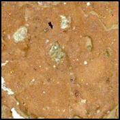 This image was taken by SHERLOC_WATSON onboard NASA's Mars rover Perseverance on Sol 1233