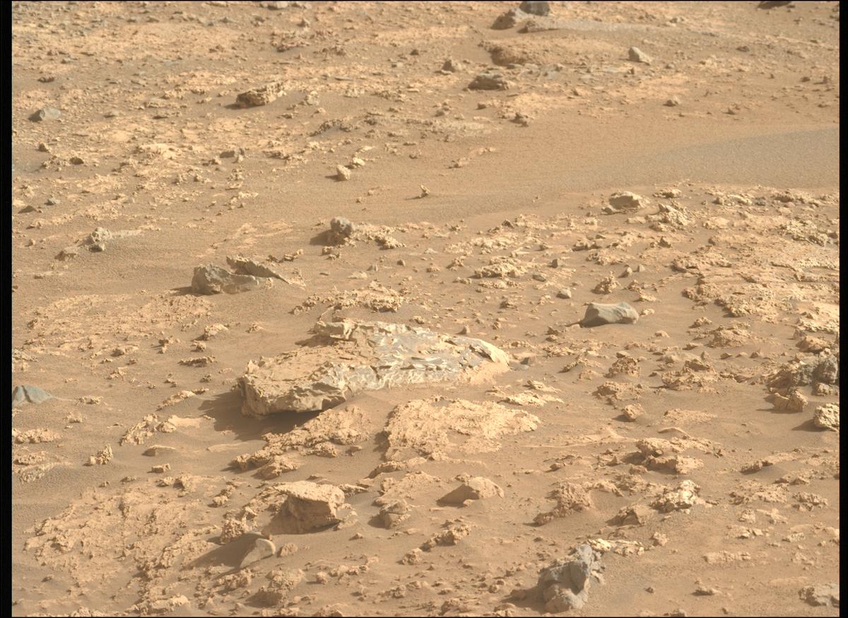This image was taken by MCZ_LEFT onboard NASA's Mars rover Perseverance on Sol 1233