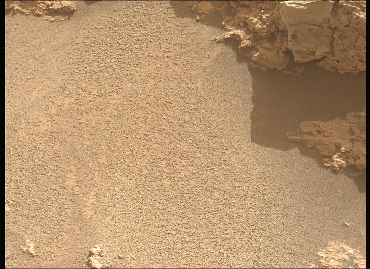 This image was taken by MCZ_LEFT onboard NASA's Mars rover Perseverance on Sol 1233