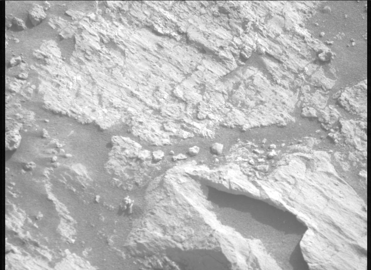 This image was taken by MCZ_RIGHT onboard NASA's Mars rover Perseverance on Sol 1233