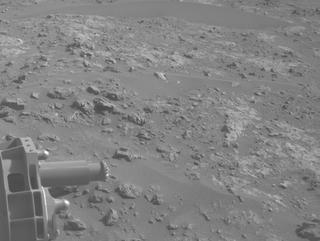 View image taken on Mars, Mars Perseverance Sol 1238: Right Navigation Camera (Navcam)