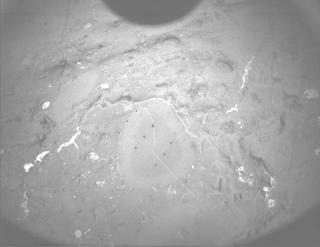 View image taken on Mars, Mars Perseverance Sol 1238: PIXL Camera 