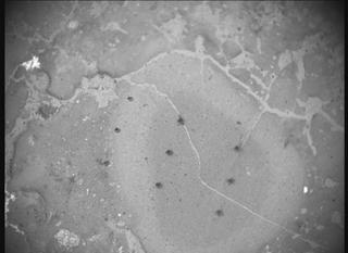 View image taken on Mars, Mars Perseverance Sol 1238: SHERLOC ACI Camera 