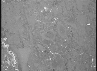 View image taken on Mars, Mars Perseverance Sol 1238: WATSON Camera 