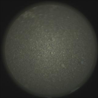 View image taken on Mars, Mars Perseverance Sol 1239: SuperCam Camera