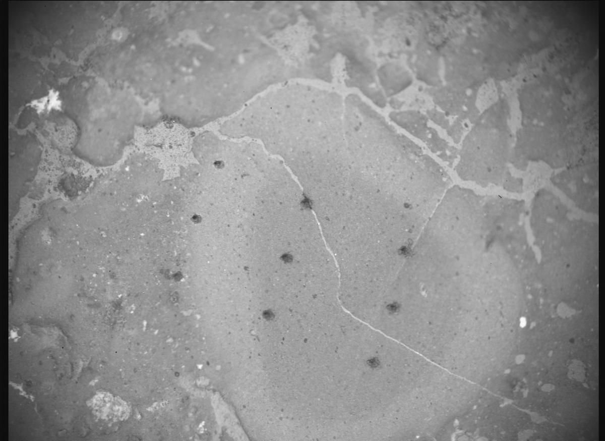 This image was taken by SHERLOC_ACI onboard NASA's Mars rover Perseverance on Sol 1239