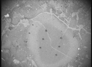 View image taken on Mars, Mars Perseverance Sol 1239: SHERLOC ACI Camera 