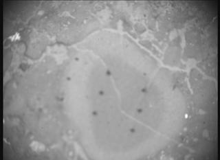 View image taken on Mars, Mars Perseverance Sol 1239: SHERLOC ACI Camera 