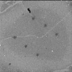 View image taken on Mars, Mars Perseverance Sol 1239: WATSON Camera 