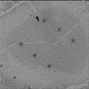 View image taken on Mars, Mars Perseverance Sol 1239: WATSON Camera 