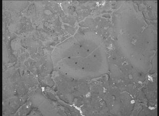 View image taken on Mars, Mars Perseverance Sol 1239: WATSON Camera 