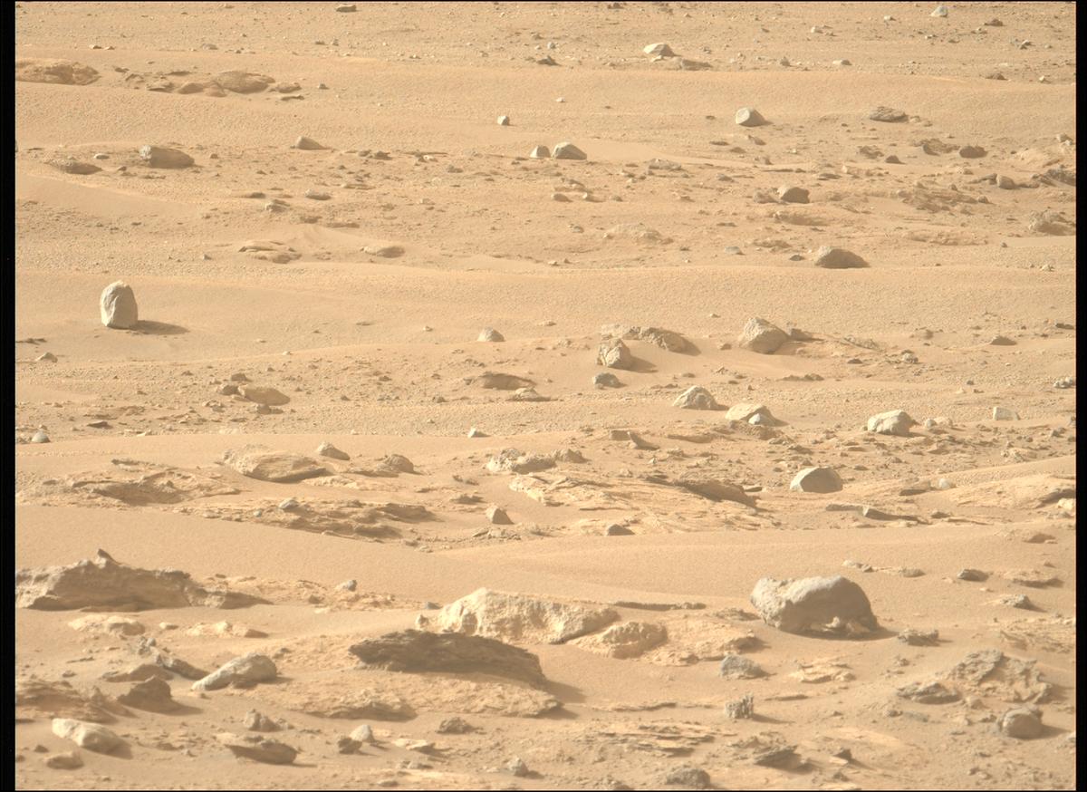 This image was taken by MCZ_LEFT onboard NASA's Mars rover Perseverance on Sol 1239
