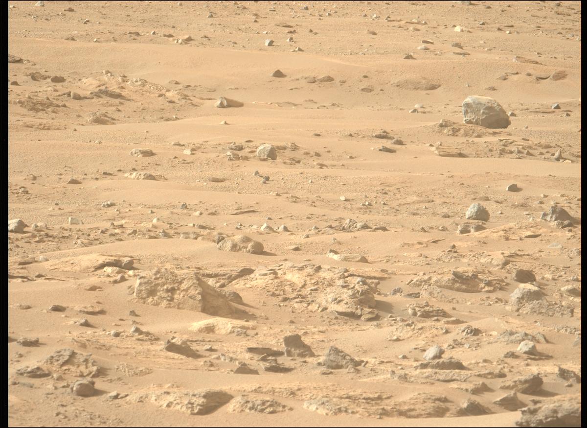 This image was taken by MCZ_LEFT onboard NASA's Mars rover Perseverance on Sol 1239