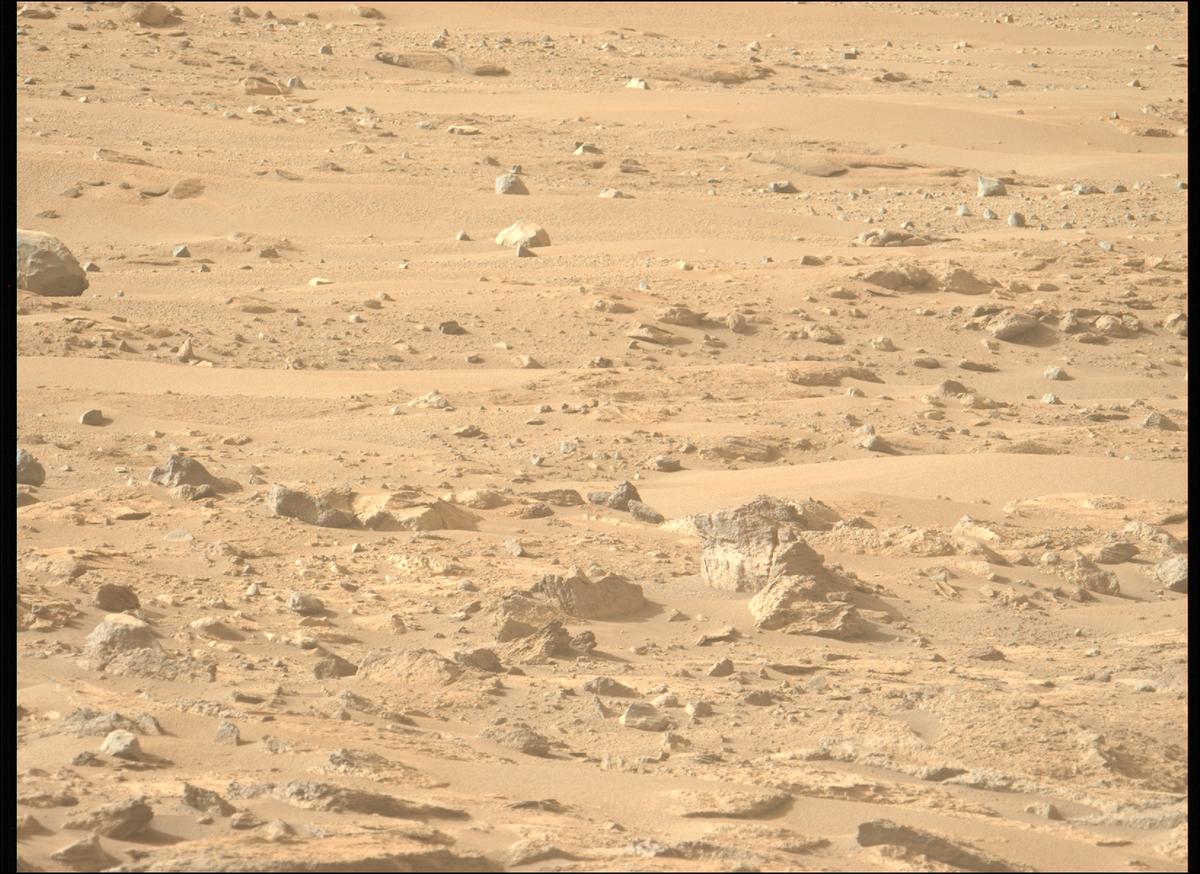 This image was taken by MCZ_LEFT onboard NASA's Mars rover Perseverance on Sol 1239