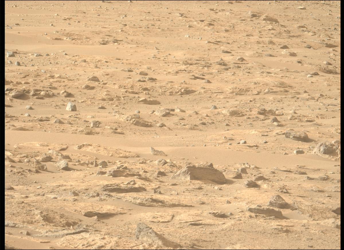 This image was taken by MCZ_LEFT onboard NASA's Mars rover Perseverance on Sol 1239
